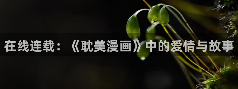 奇漫屋漫画免费官网