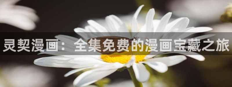 放开那个女巫漫画免费下拉式奇漫屋